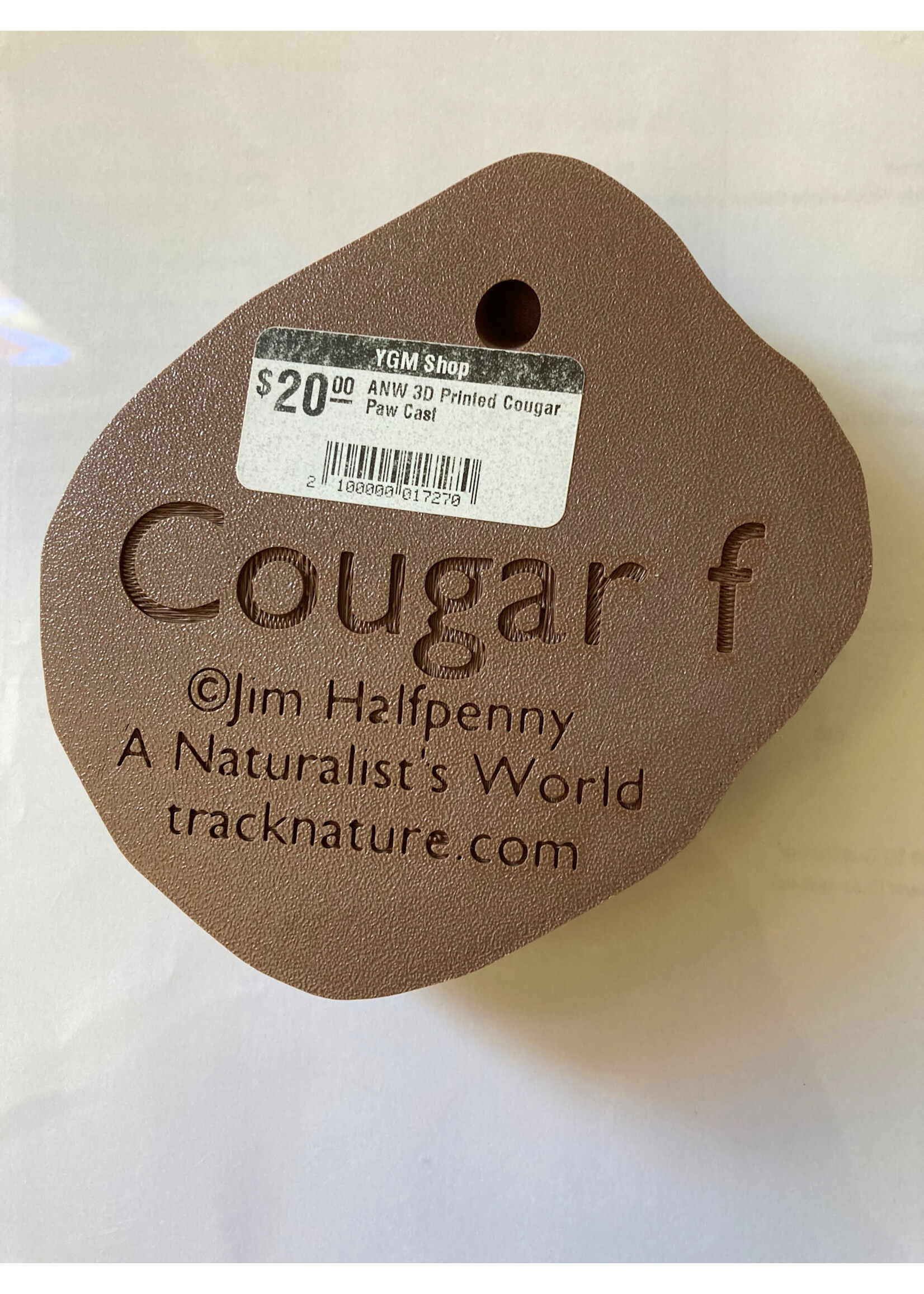 ANW 3D Printed Cougar Paw Cast