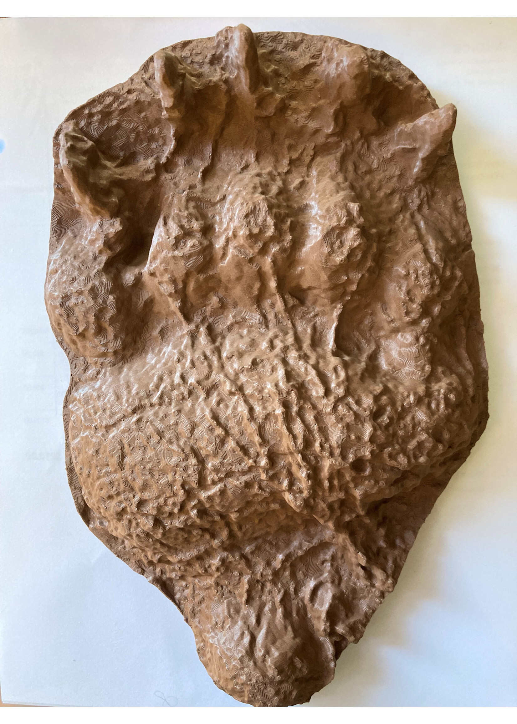 ANW 3D Printed Grizzly Bear Paw Cast