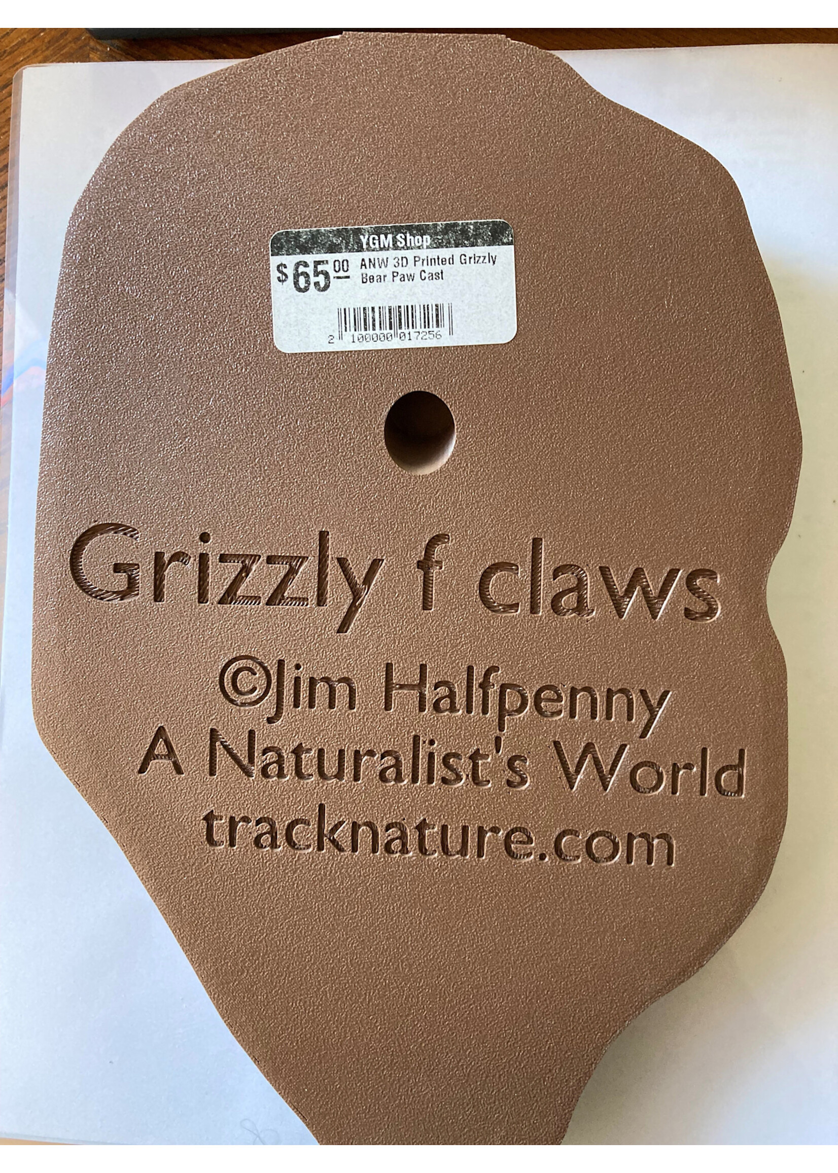 ANW 3D Printed Grizzly Bear Paw Cast