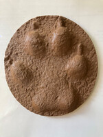 ANW 3D Printed Wolf (302Mf) Paw Cast