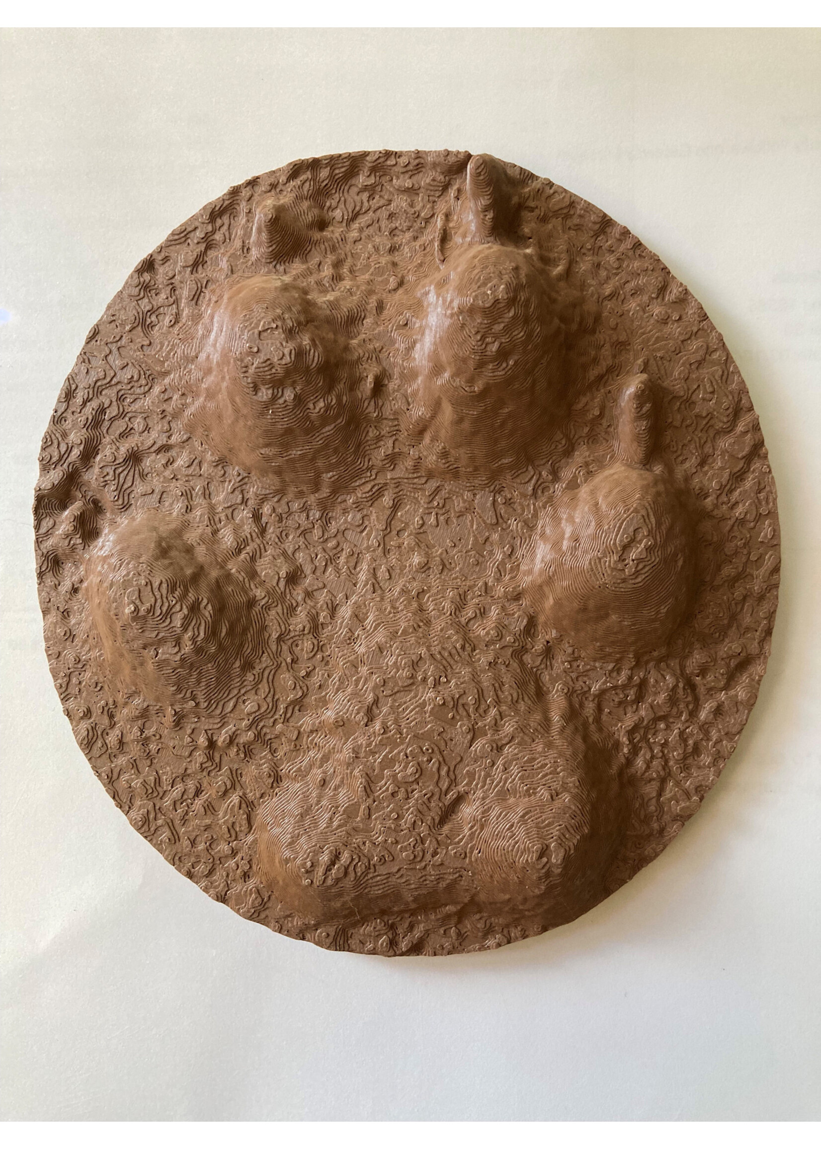 ANW 3D Printed Wolf (302Mf) Paw Cast