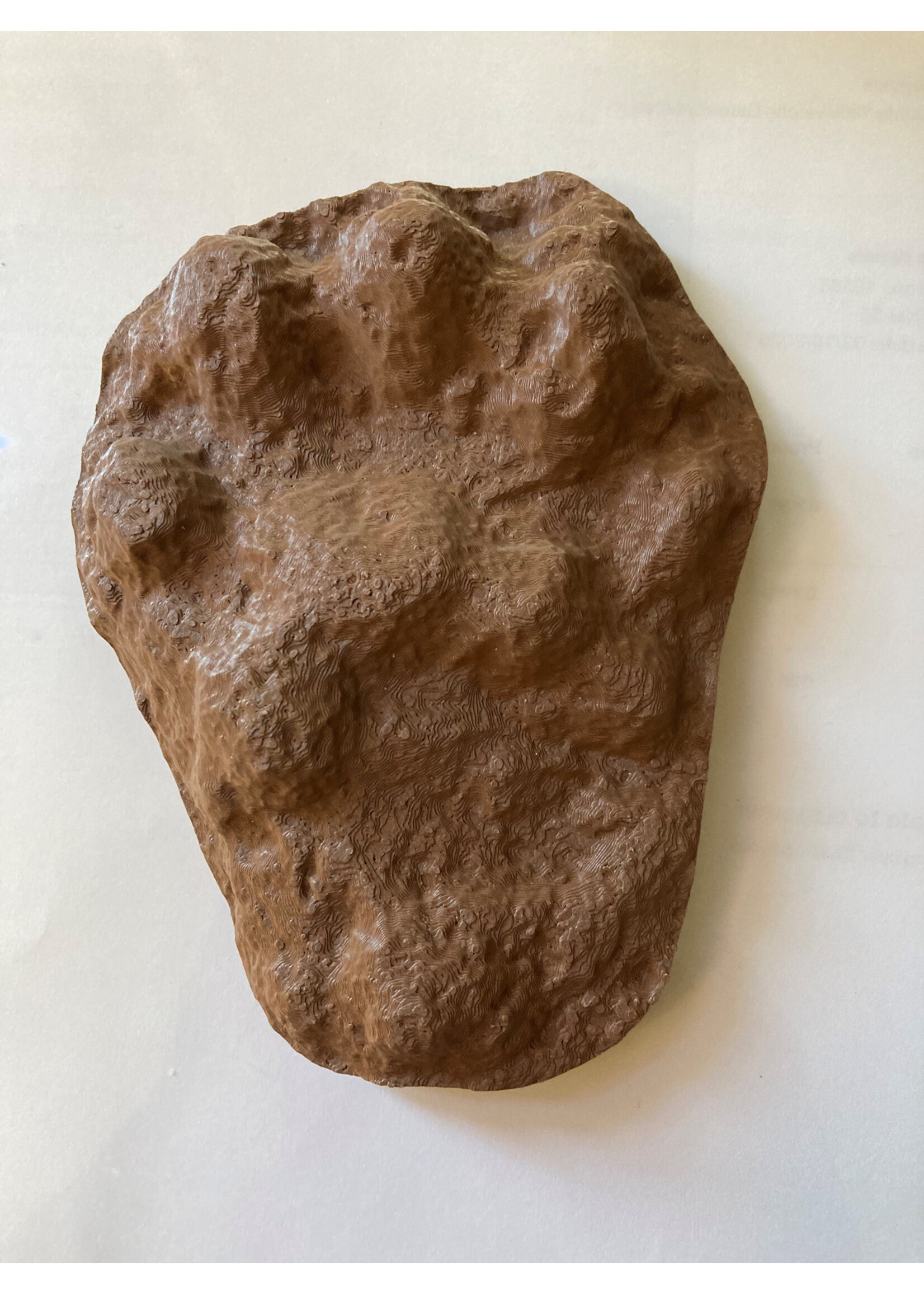 ANW 3D Printed Wolverine Paw Cast
