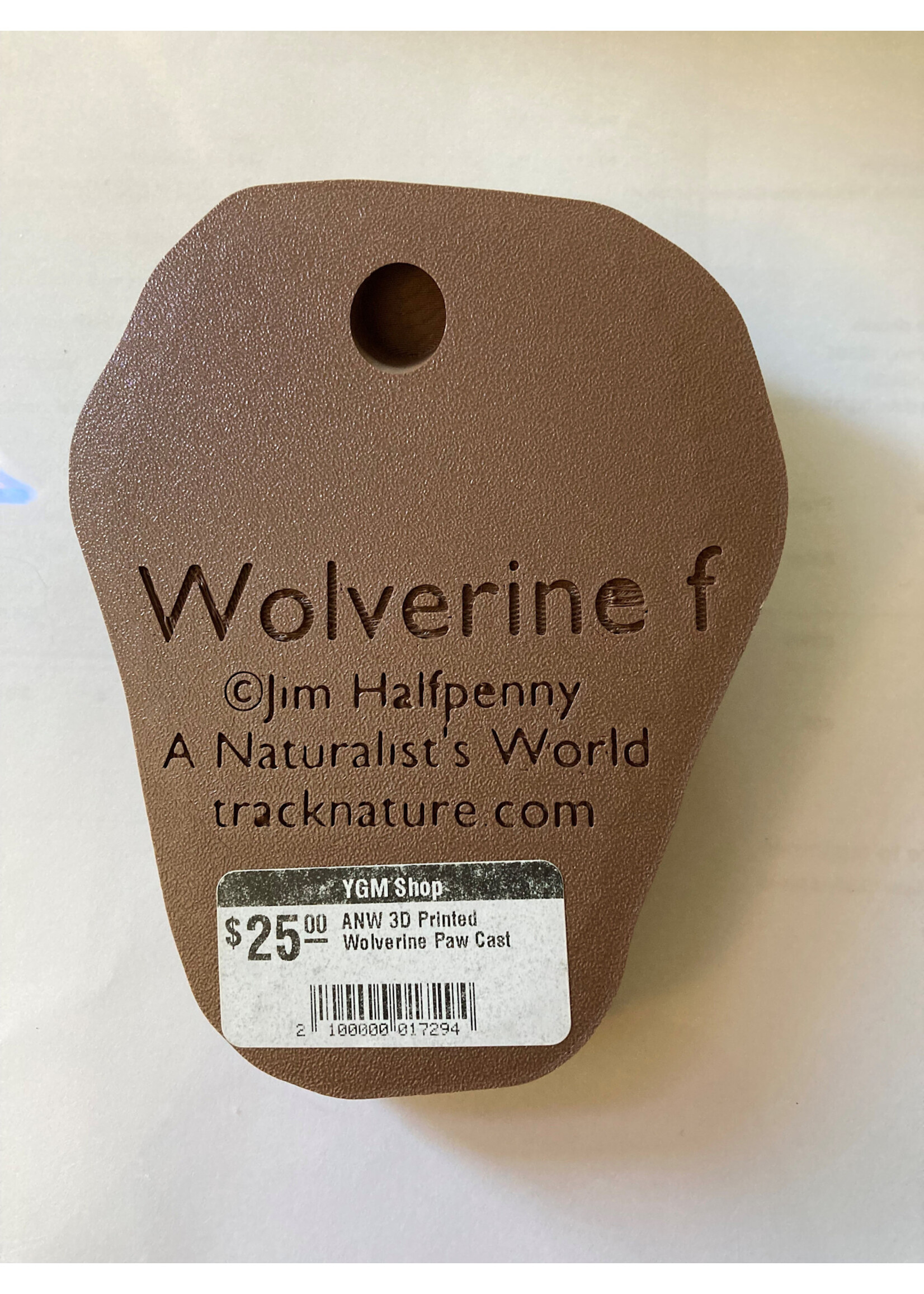 ANW 3D Printed Wolverine Paw Cast
