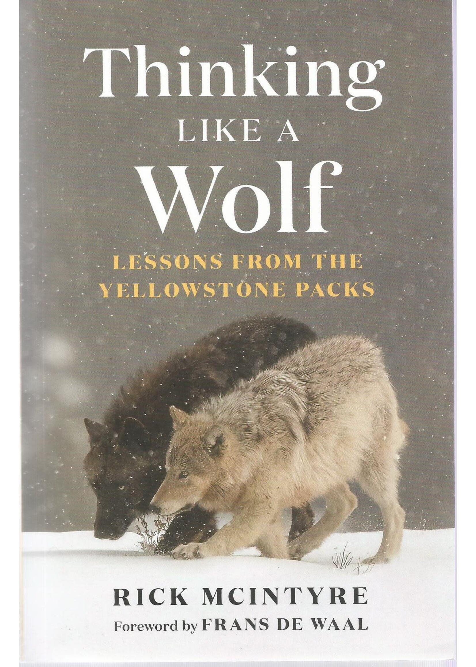 Thinking Like a Wolf Paperback