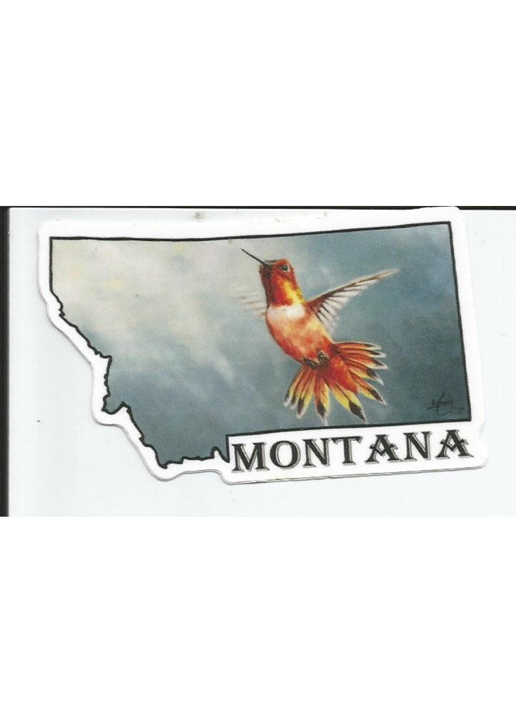 VAW Humming Bird MT