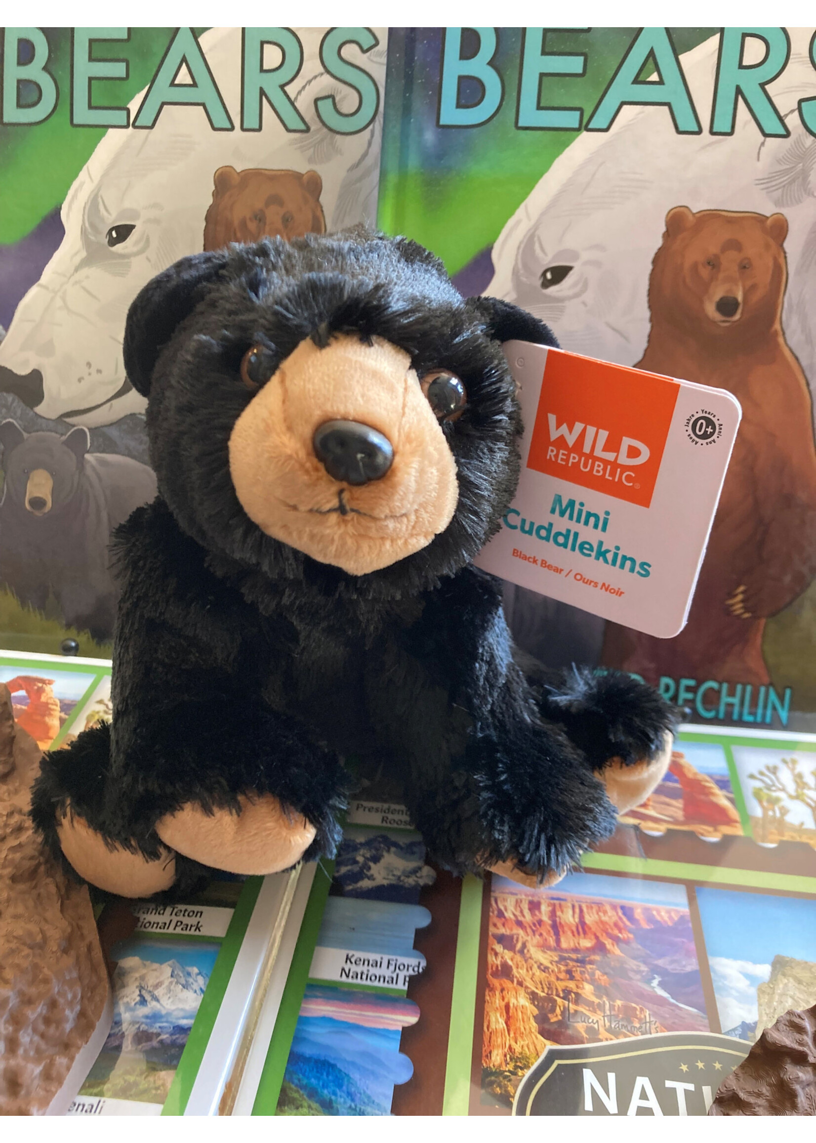 WR CK-Mini Black Bear 8"