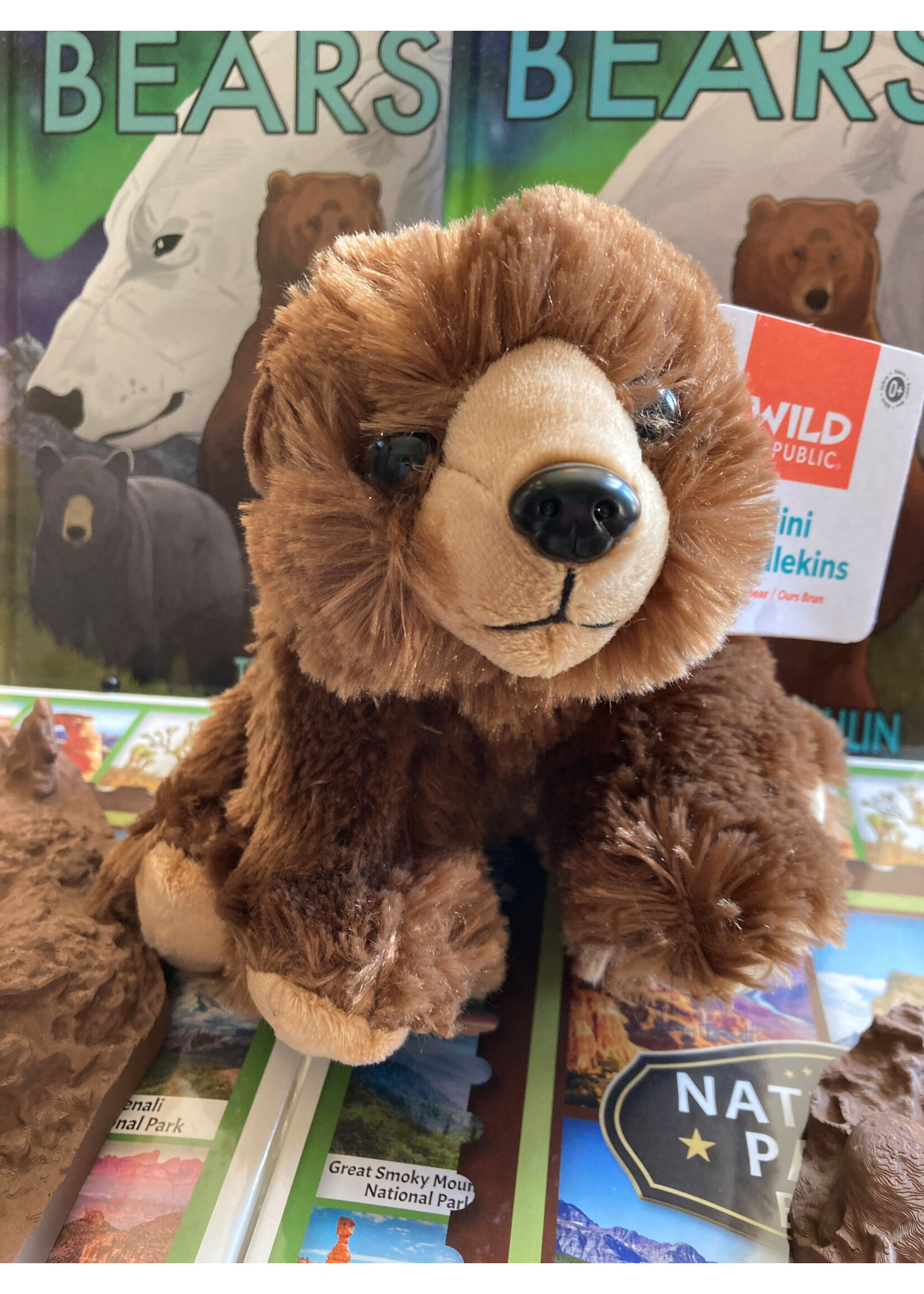 WR CK-Mini Brown Bear 8"