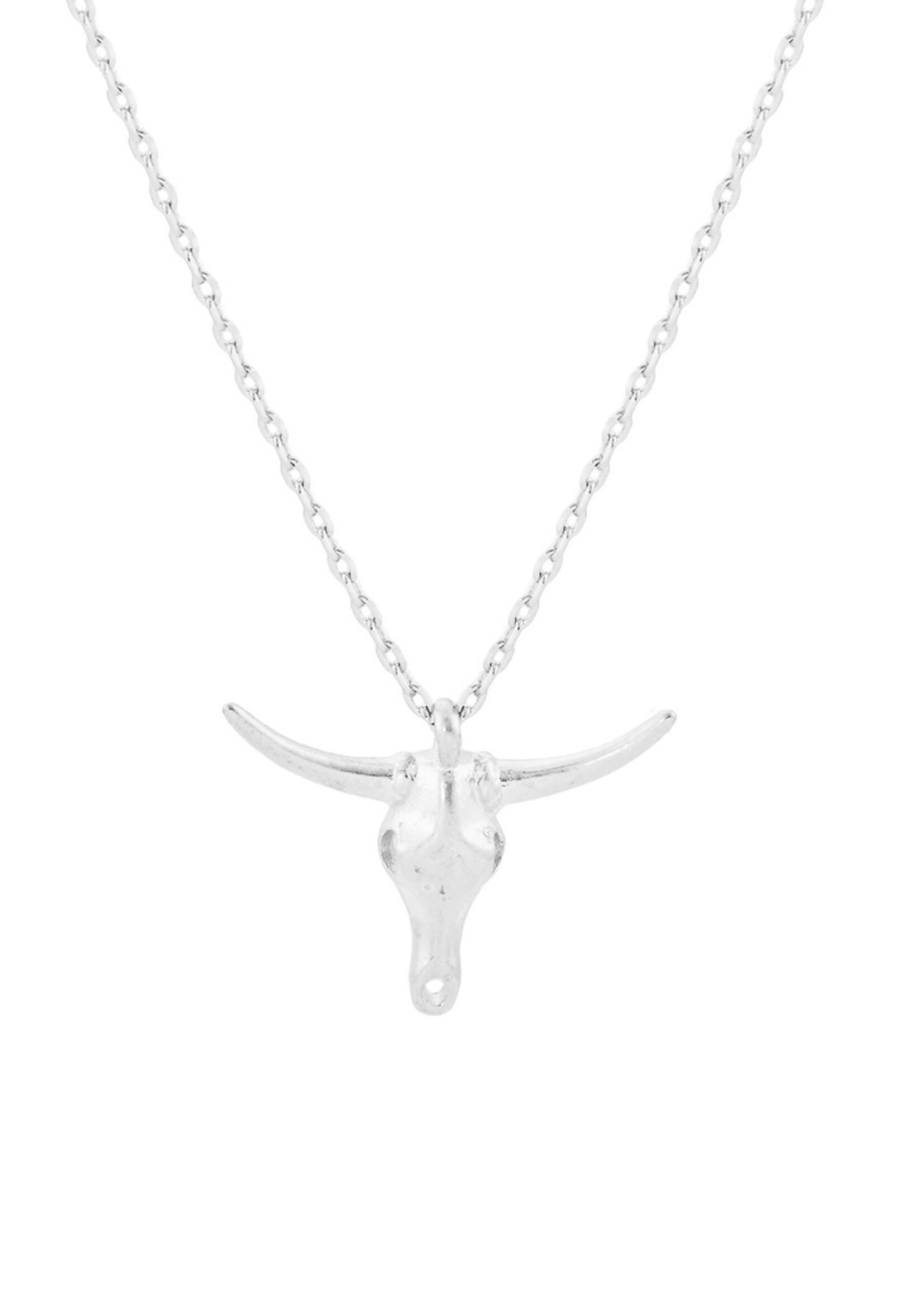 Take the Bull by the Horns Necklace