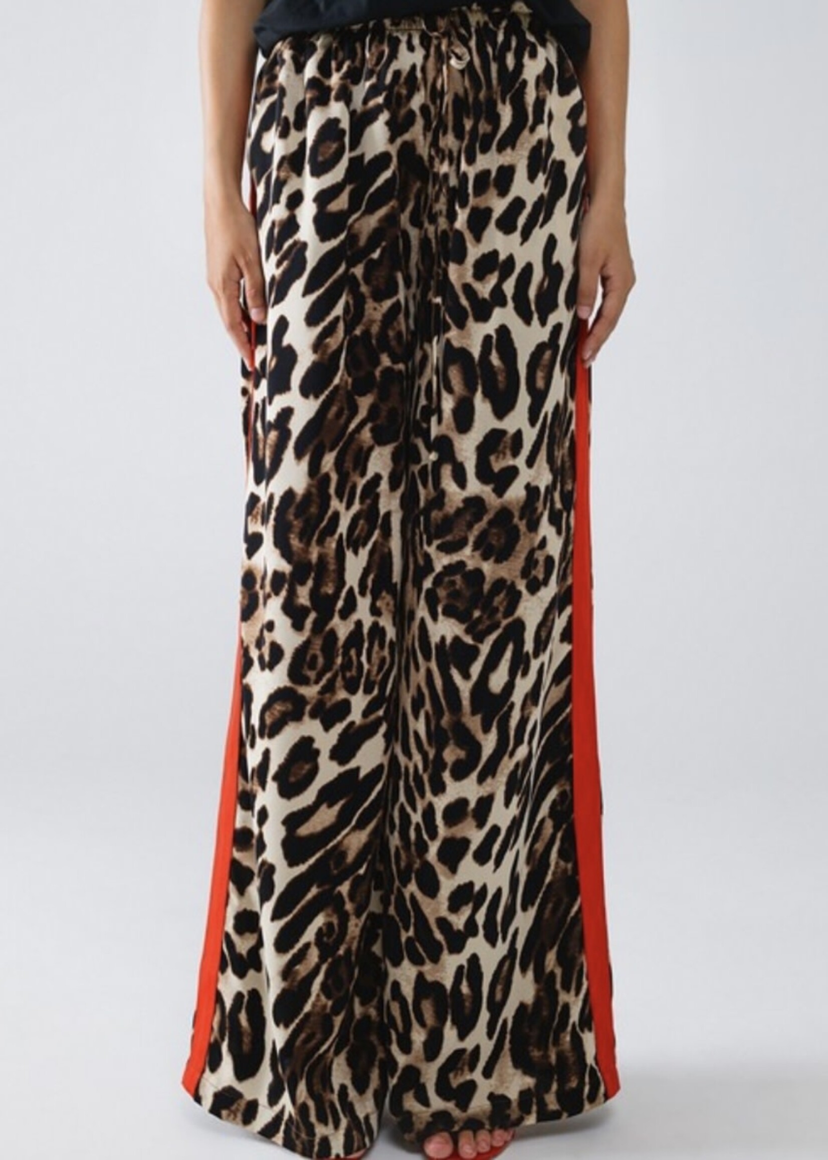 Strut Your Stuff Leopard Pants