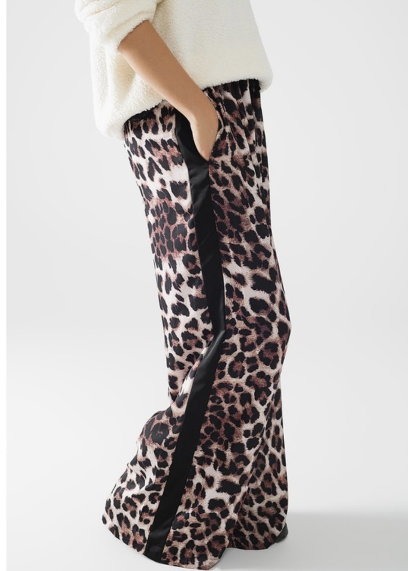 Strut Your Stuff Leopard Pants