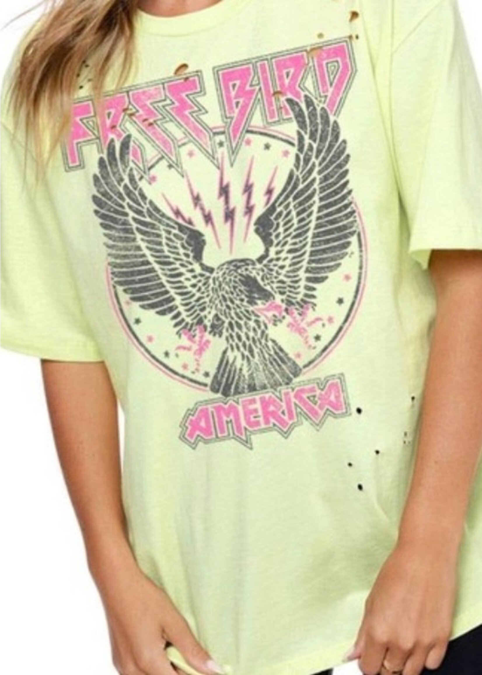 Free Bird American Distressed  Graphic Tee