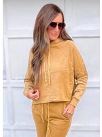 Lura Mineral Wash Cropped Hoodie