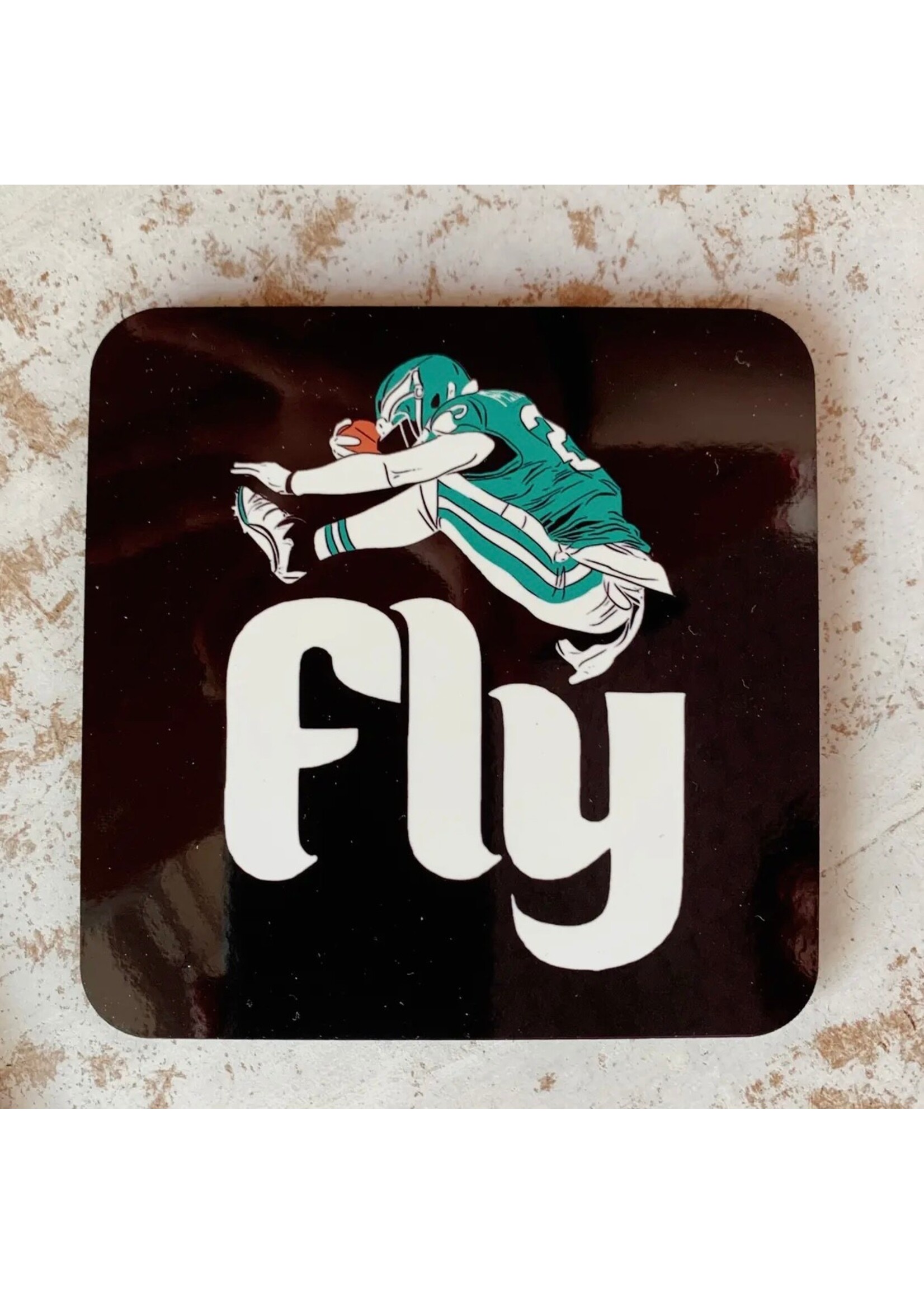 Fly Eagles Fly Coaster
