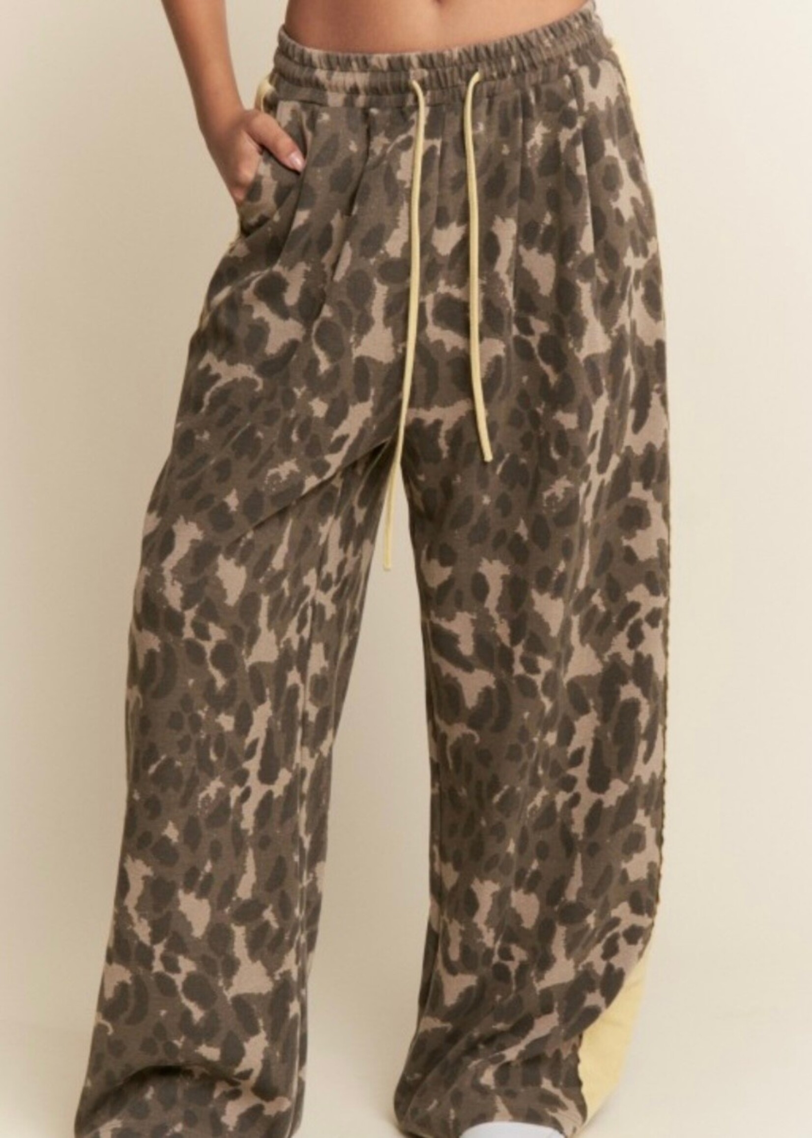 Levan Stripe Leopard Print  Wide Leg Pants