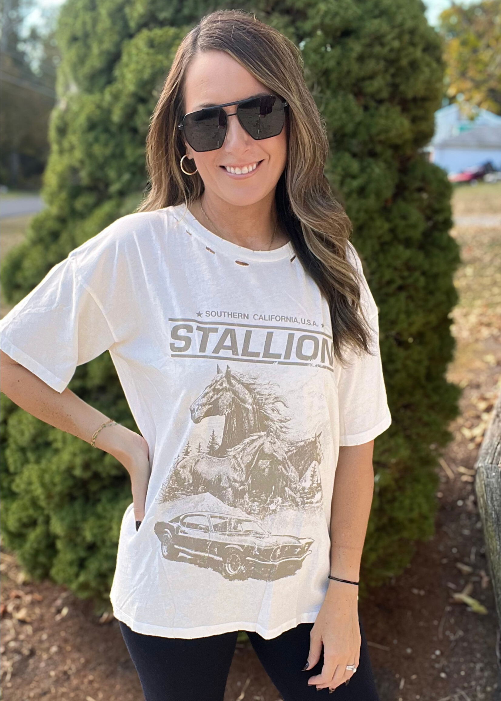 Stallion Distressed Graphic Tee
