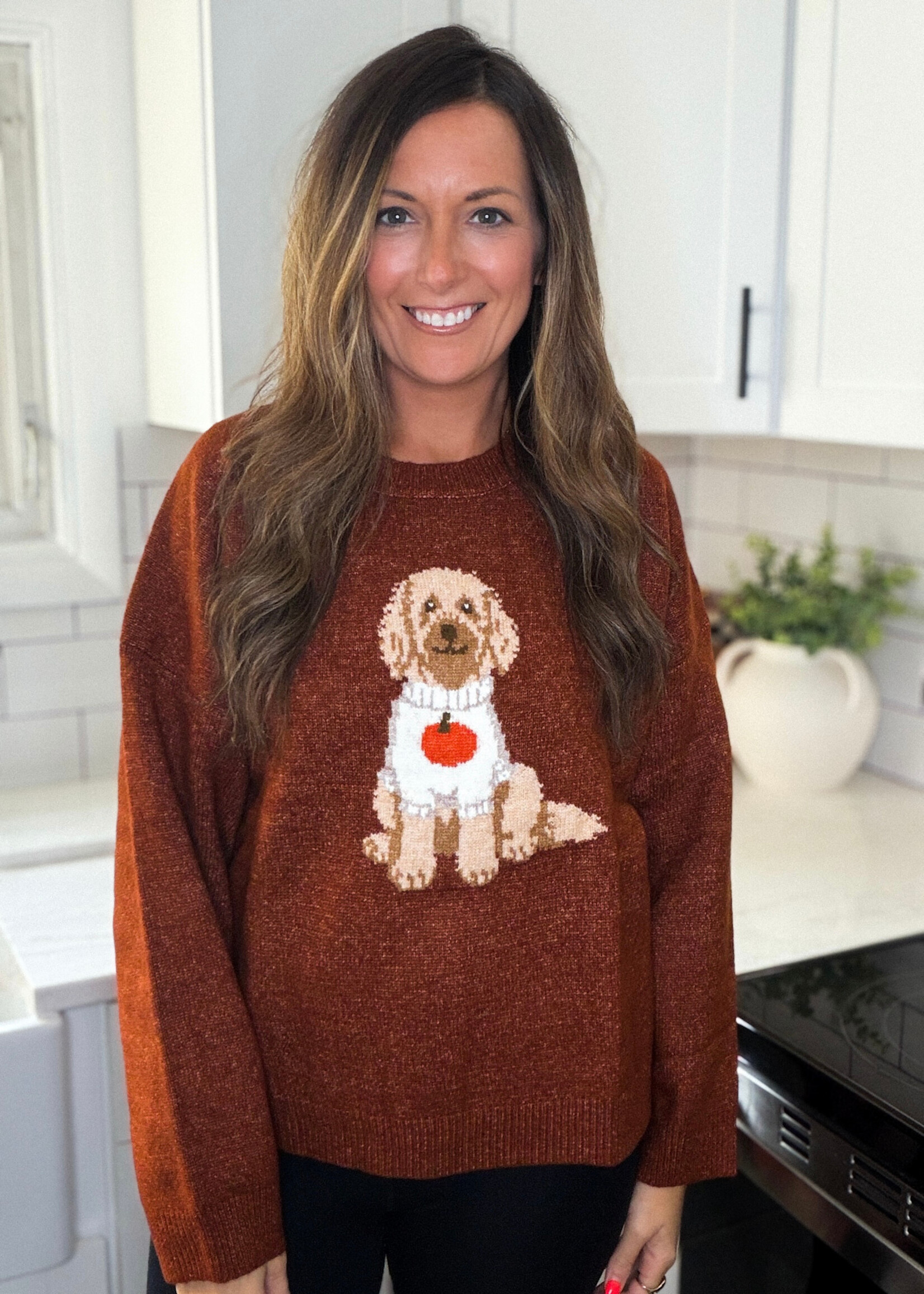 Doodle Dog Pumpkin Sweater