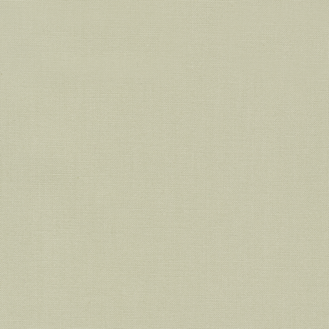 RK Kona Solid  LIMESTONE  478 P