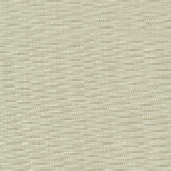 Kona Solids RK Kona Solid  LIMESTONE  478 P