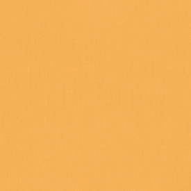 Kona Solids RK Kona Solid  OCHRE  1704 F