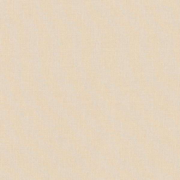 Kona Solids RK Kona Solid  PUTTY  1303 N