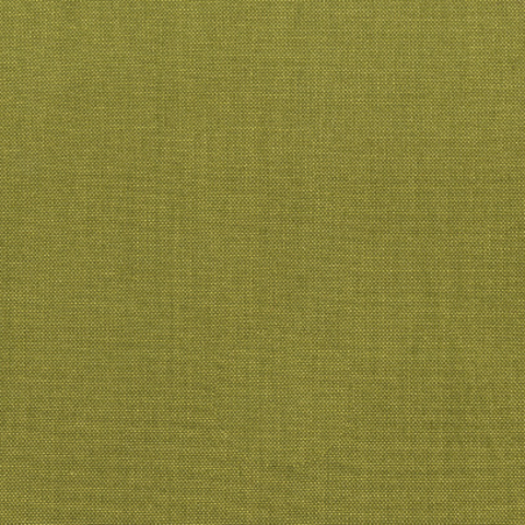 Artisan Cotton  40171- 57  OLIVE