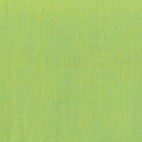 Artisan Cotton  40171- 44  KIWI