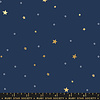 Ruby Star - Birthday  / Tiny Stars / Metallic / Navy / RS2049-19M