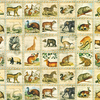 RK - Library of Rarities - 19596-200 - Stamps - Animals