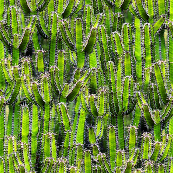 Hoffman Fabrics HF - Natures Narratives - R4676-71-Lime