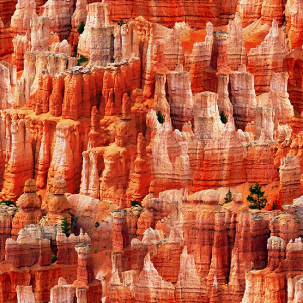 Hoffman Fabrics HF - Natures Narratives - R4678-646-Canyon