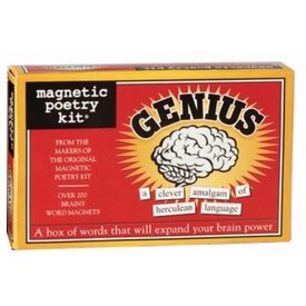  Magnetic Poetry Kit / Genius