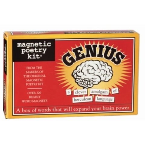 Magnetic Poetry Kit / Genius