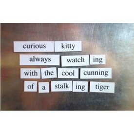  Magnetic Poetry Kit / Cat Lover