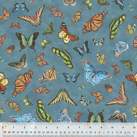 Windham Windham - Butterfly Collector / Lepidoptery 53610-4 53610-4 Classic Blue