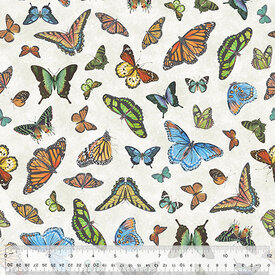 Windham Windham - Butterfly Collector / Lepidoptery 53610-3 53610-3 Ivory