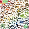 Puzzle - 1000pc / A Rainbow World