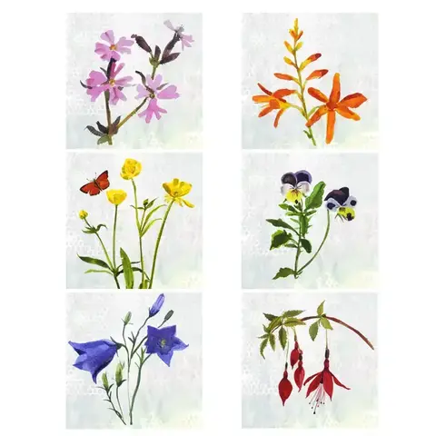 Annabel Langrish - Mini Gift Size Card Set / 6pc / Wild Flowers
