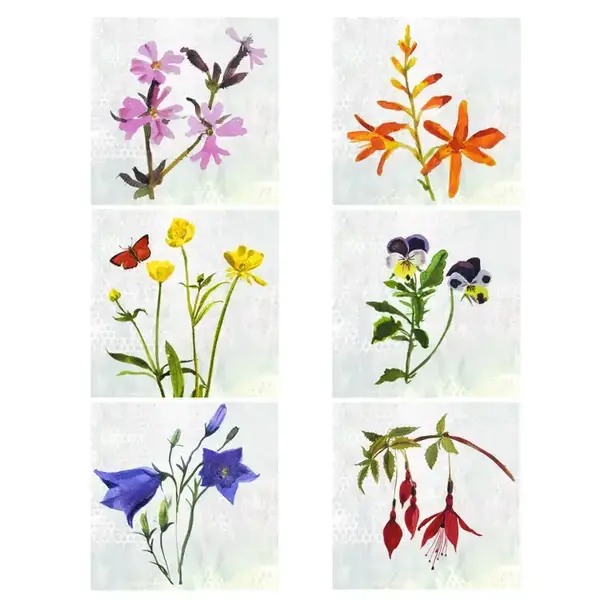  Annabel Langrish - Mini Gift Size Card Set / 6pc / Wild Flowers