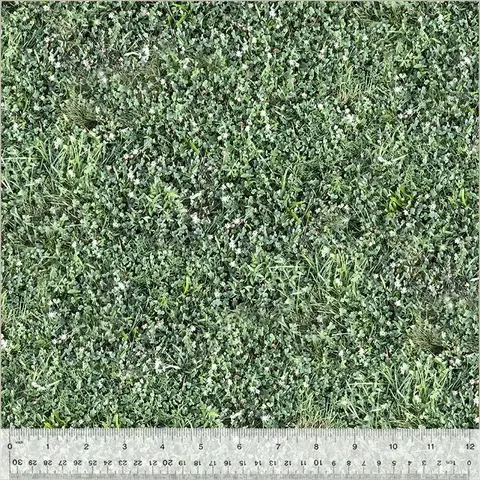 Windham - Digital Landscapes / Splendor In The Grass / 52118D-X Multi