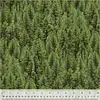 Windham - Digital Landscapes / Evergreen / 52115D-X Multi