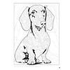 Book - Dean Russo Pop Art Animal Coloring Book