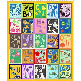  PANEL - Jennifer Heynen / ABC's of Color / 1JHW-1   (36x42)