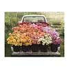 Bookman - Double Sided Puzzle / 500pc / Floret Farm's Cut Flowers