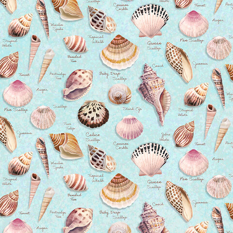 Clothworks - Seashell Wishes / Digital /  Tossed Shells / Y3466-32 / Teal