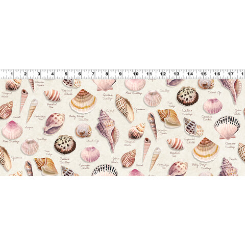Clothworks - Seashell Wishes / Digital /  Tossed Shells / Y3466-11 / Cream