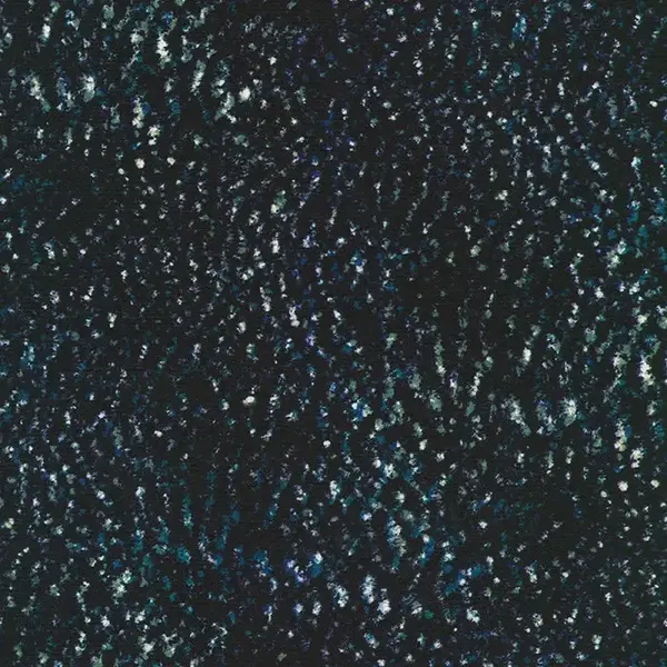  Robert Kaufman - Earth Views / Karen Nyberg -  Midnight