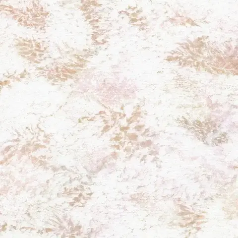 Robert Kaufman - Earth Views / Karen Nyberg -  Natural