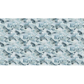 Northcott Fabrics Northcott - Soar / Eagles / DP24583-42
