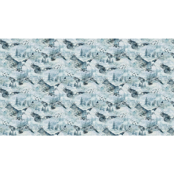 Northcott Fabrics Northcott - Soar / Eagles / DP24583-42