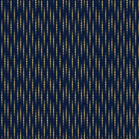 PBS - Moon Stripe - Navy / 12014931